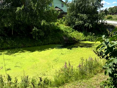 ділянка за адресою 