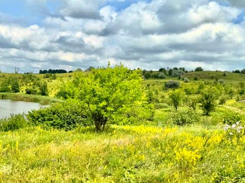 ділянка за адресою 