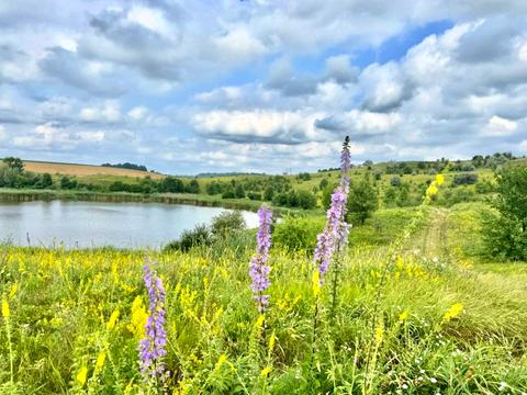 ділянка за адресою 