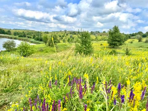 ділянка за адресою 
