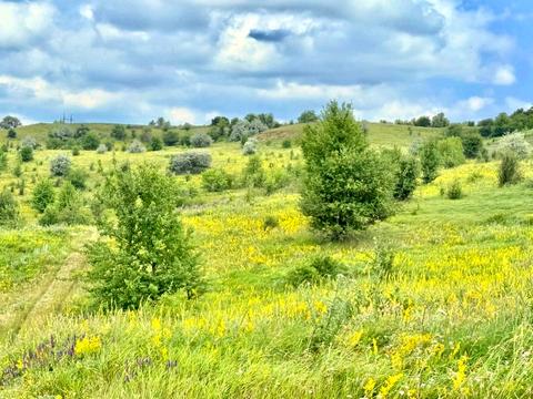 ділянка за адресою 