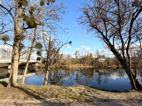 будинок за адресою с. Мошни, Спасо- Преображенська