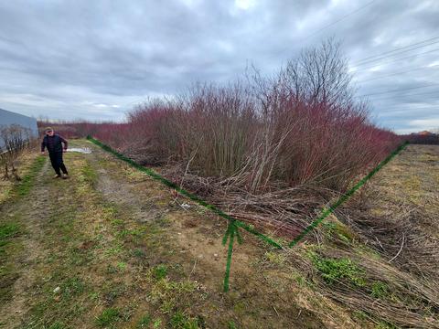 ділянка за адресою Коритнянська вул.