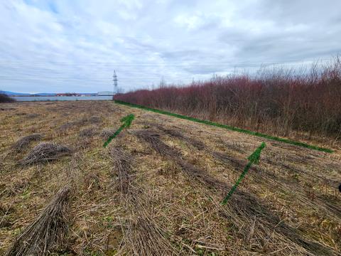 ділянка за адресою Коритнянська вул.