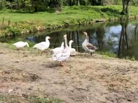 будинок за адресою вул. Приозерна