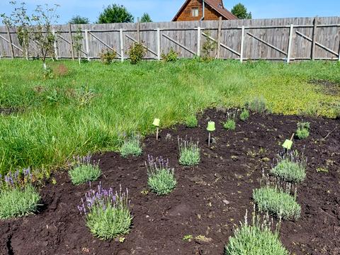 участок по адресу 