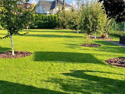 дом по адресу Дорошенко, 8