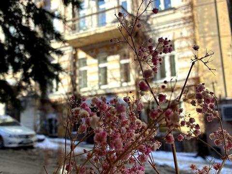 квартира за адресою Малопідвальна вул., 4