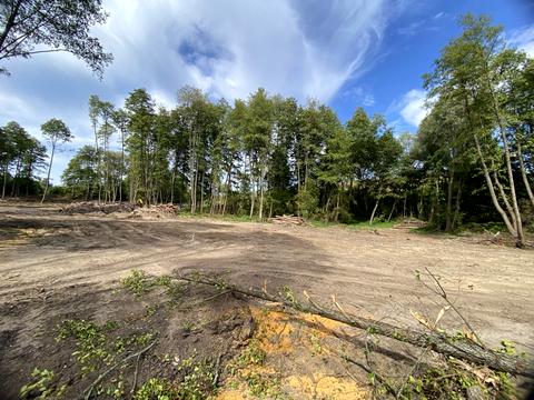 ділянка за адресою 