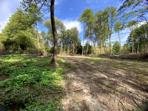 ділянка за адресою 