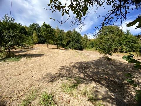 ділянка за адресою 