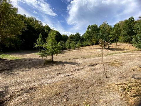 ділянка за адресою 