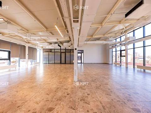 комерційна за адресою Манізера вул. (Красіна), 8