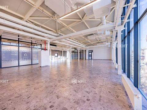 комерційна за адресою Манізера вул. (Красіна), 8