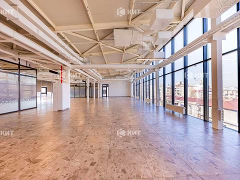 комерційна за адресою Манізера вул. (Красіна), 8