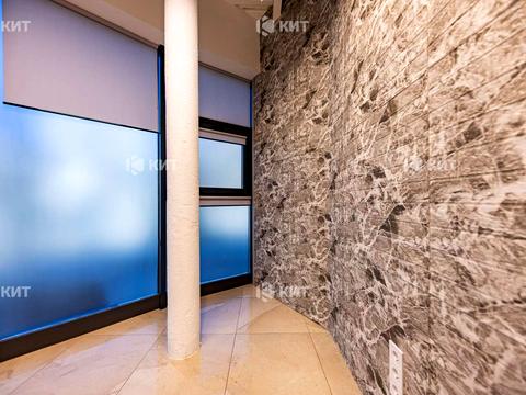 комерційна за адресою Манізера вул. (Красіна), 8