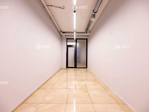 комерційна за адресою Манізера вул. (Красіна), 8