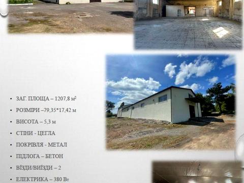 комерційна за адресою Олександра Духновича вул. (Пушкіна), 198