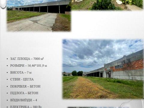 комерційна за адресою Олександра Духновича вул. (Пушкіна), 198