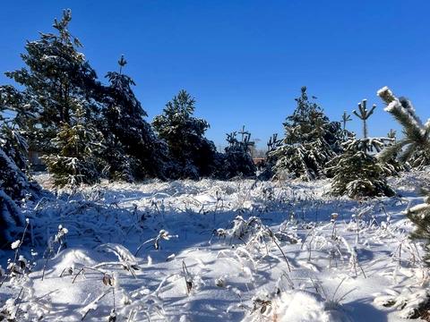 ділянка за адресою Західна вул.