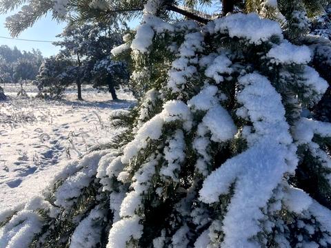 ділянка за адресою Західна вул.