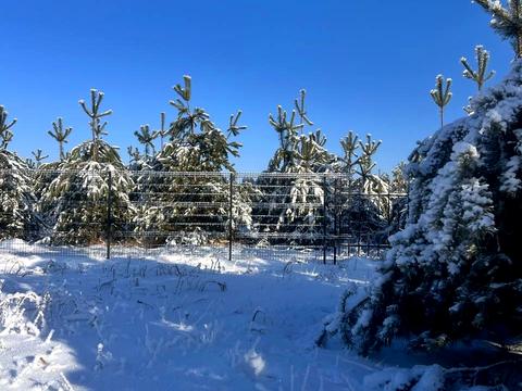 ділянка за адресою Західна вул.