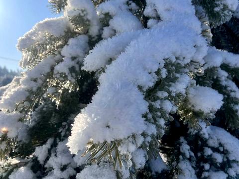 ділянка за адресою Західна вул.