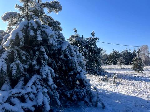 ділянка за адресою Західна вул.