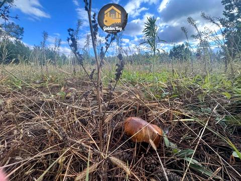 ділянка за адресою Західна вул.