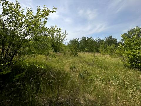 участок по адресу Мотросова