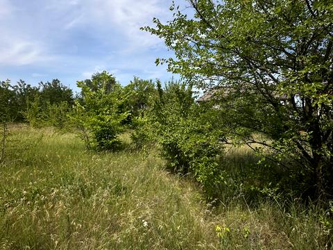 участок по адресу Мотросова