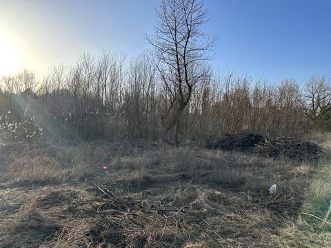 ділянка за адресою Березнева, 55