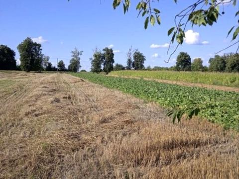 будинок за адресою смт. Ружин, Дружби, 16