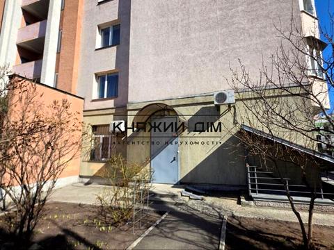 комерційна за адресою Миколи Голего вул. (Лебедєва-Кумача), 5