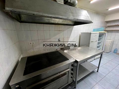 коммерческая по адресу Гетьмана Кирилла Разумовского ул. (Миколи Краснова), 17