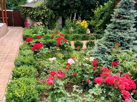 будинок за адресою Провулок Південний, 28