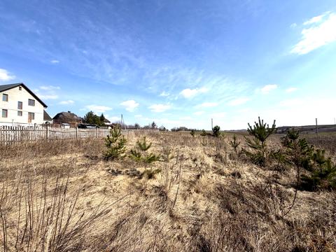 ділянка за адресою с. Біла Криниця, Масив Київський