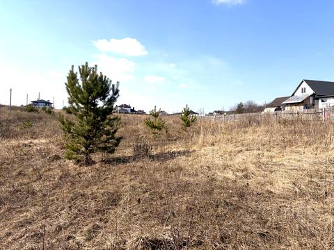 ділянка за адресою с. Біла Криниця, Масив Київський