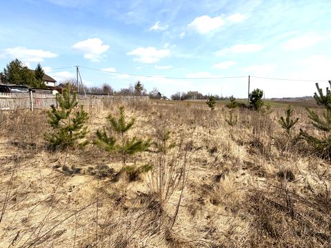 ділянка за адресою с. Біла Криниця, Масив Київський
