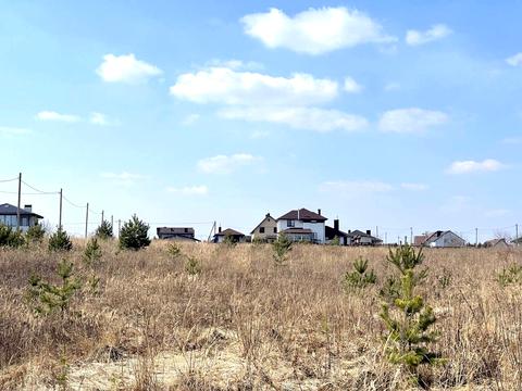 ділянка за адресою с. Біла Криниця, Масив Київський