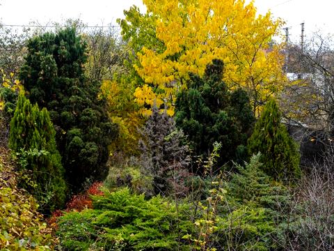 будинок за адресою с. Пухівка, Лісова, 1