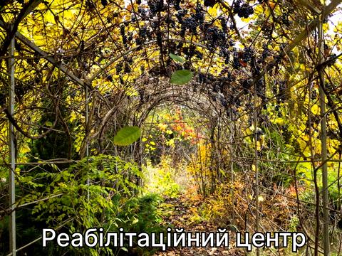 будинок за адресою с. Пухівка, Лісова, 1