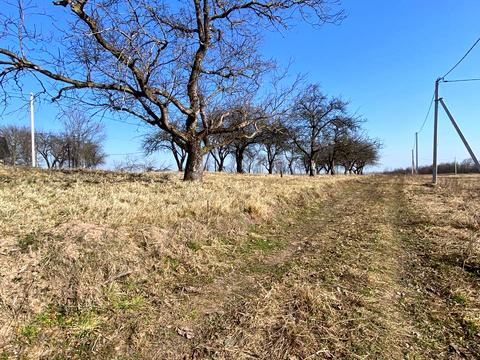 ділянка за адресою с. Ластівці, 