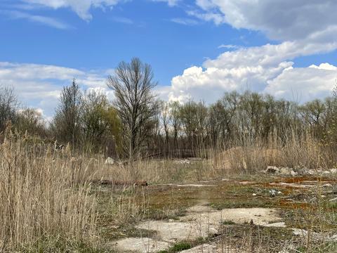 комерційна за адресою Любецька вул., 187