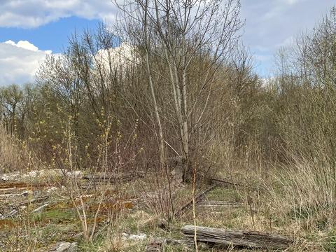 комерційна за адресою Любецька вул., 187