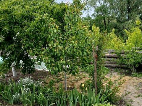 будинок за адресою урожайна