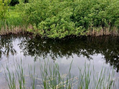 будинок за адресою урожайна