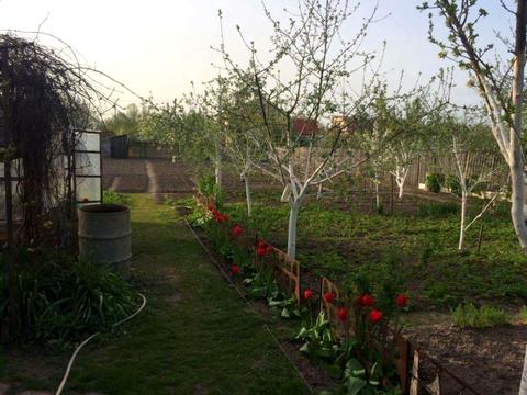 будинок за адресою бударіна