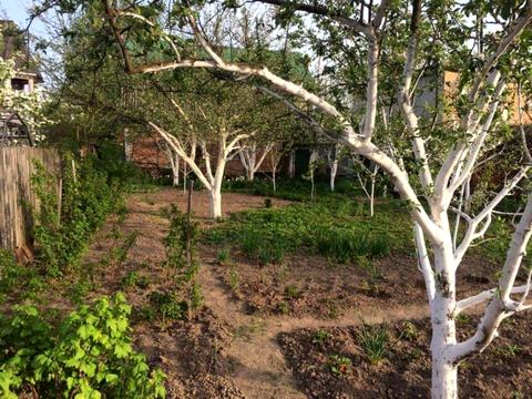 будинок за адресою бударіна