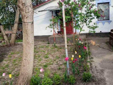 будинок за адресою Василя Стуса вул.